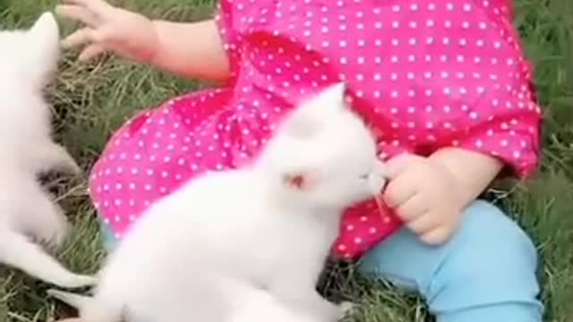 little cute baby playing with cats baby