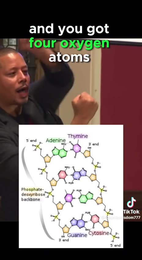 Frequencies and Vibrations will change Humanity