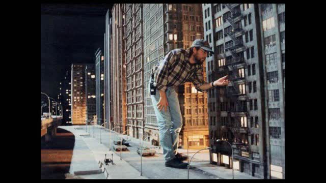 IL COMPLOTTISTA E IL COVIDIOTA