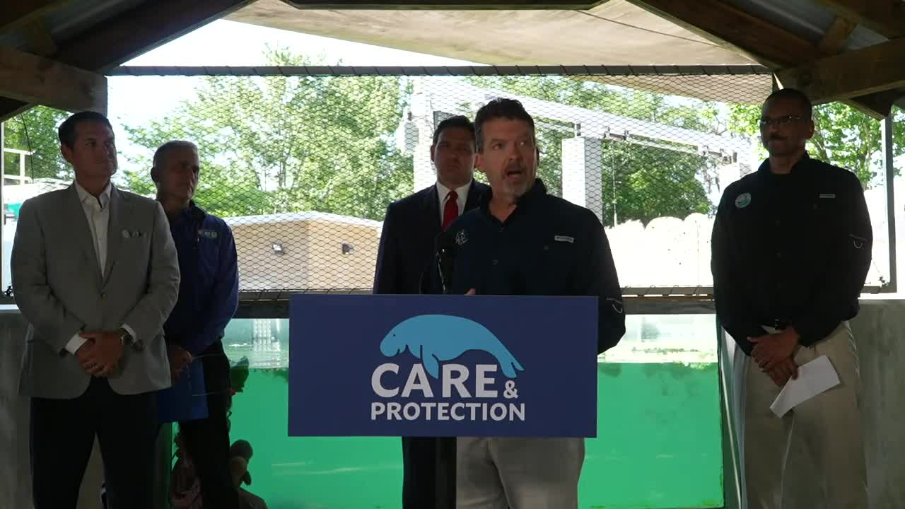 Gov. Ron DeSantis Provides $30 Million for Manatee Protection