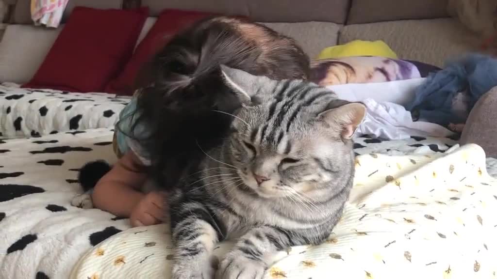 Super loving picture, girl and cat