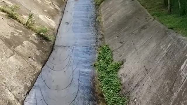 Sliding down Drain with Surprise Speed