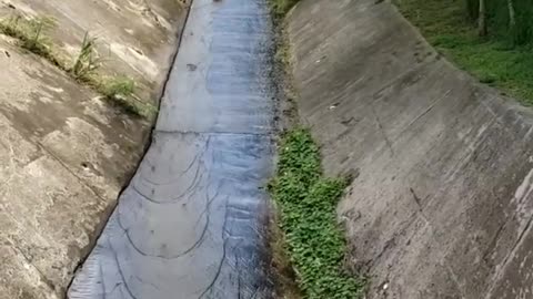 Sliding down Drain with Surprise Speed