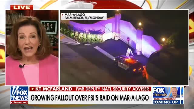 ICYMI - K. T. McFarland on MAL Raid