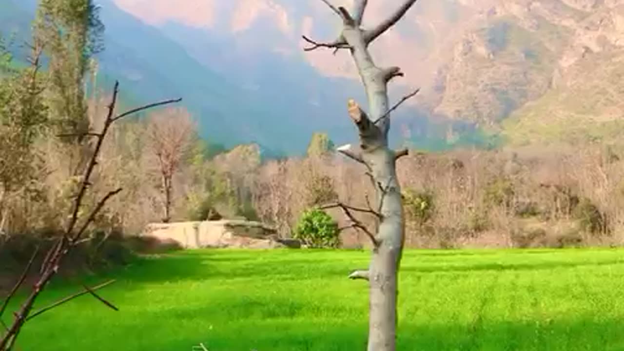 #nature#Travel#beauty#life#pakistan