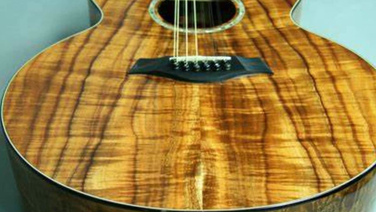 THE ACOUSTIC CAGE-- GOT