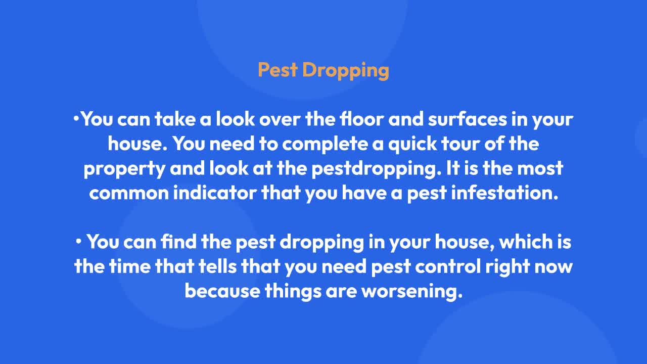 Choosing The Best Pest Control Company Is Essential Check Here!