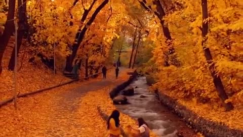 Very beautiful park