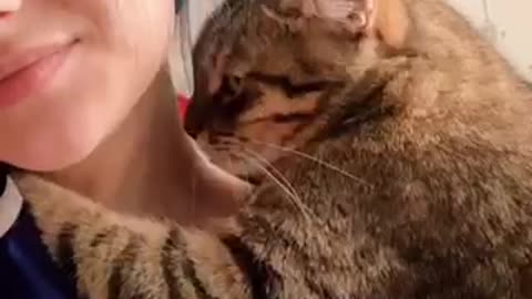 Romantic cat ever