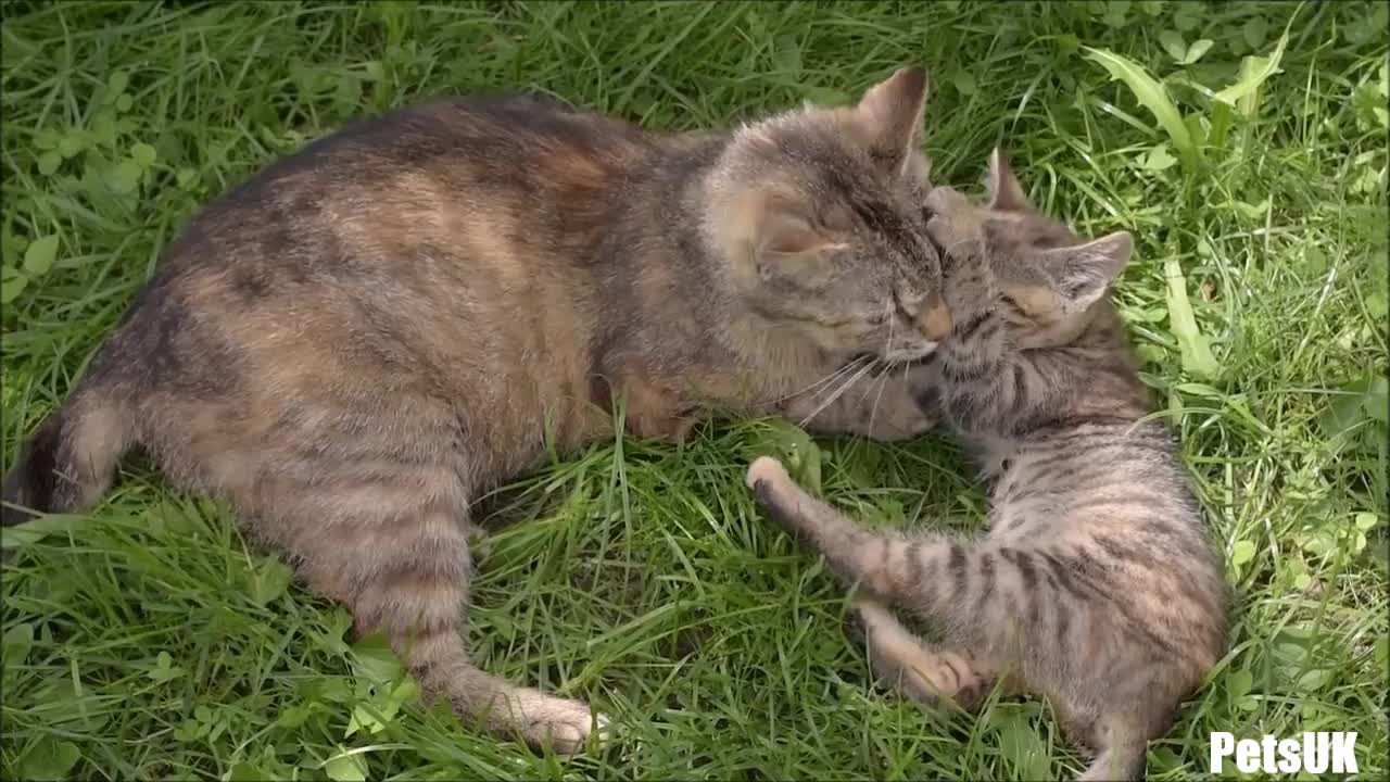 Playing With My Mum
