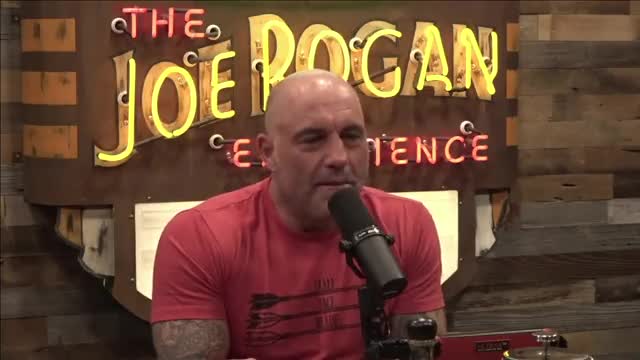 Joe Rogan On Matt Walsh’s ‘What Is A Woman?’