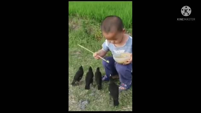 The little boy feeding the birds #nature #cute #birds #feeding