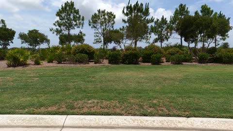 (00013) Part One (P) - Sarasota National Cemetery, Sarasota, Florida!