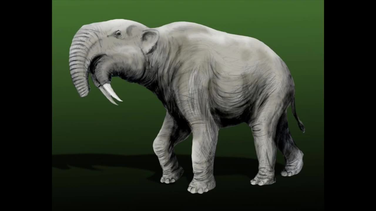 Deinotherium sound effect copyright free