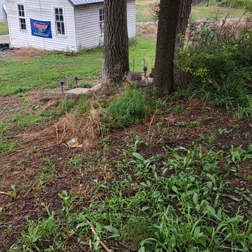 Beautiful Morning at the Manning House of Hope