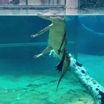 Stay cool during this heat wave.. 💦🥵