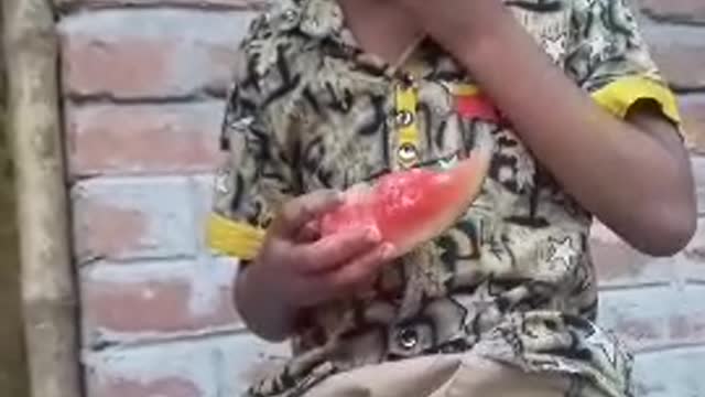 Eating watermelon