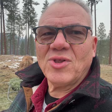 Good Morning from McKenzie Mountain 12-11-24