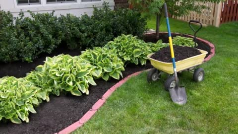 Nelson's Lawn Care - (843) 897-6018