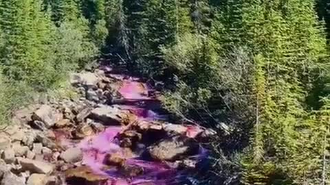 Pink River