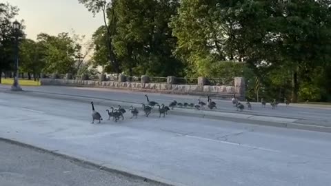 wawoooo! Fantastic amazing Video! |