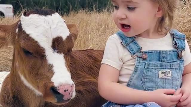 LITTLE GIRL AND CALF