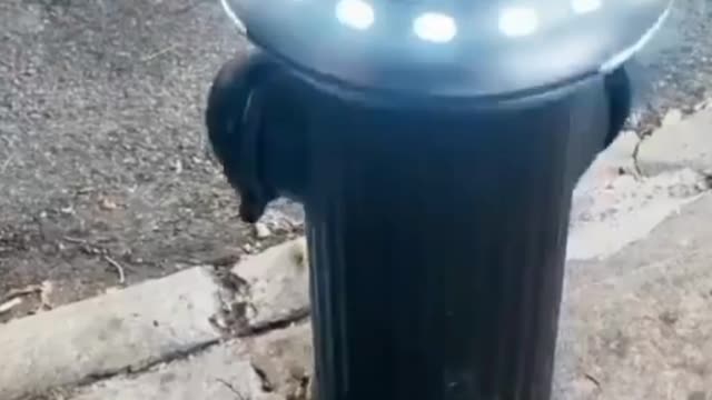 What is this?? Alien video