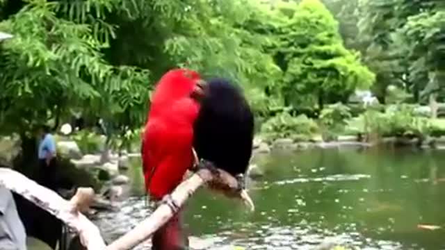 Time with God - August 2