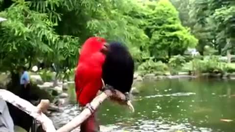 Time with God - August 2