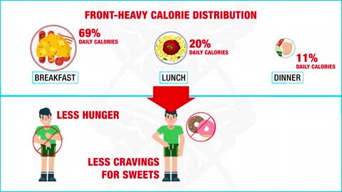 The Best Meal Plan To Lose Fat Faster EAT LIKE THIS!