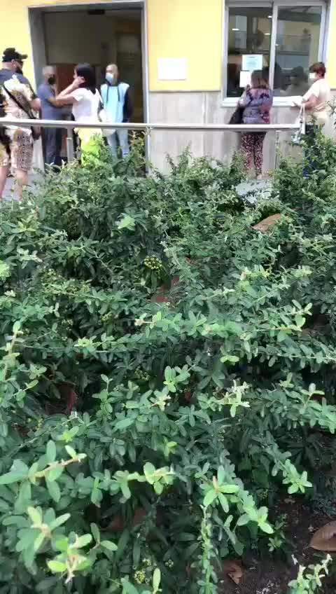 Non è previsto GREEN PASS per ospedali e ambulatori. Denunciate chi lo chiede.