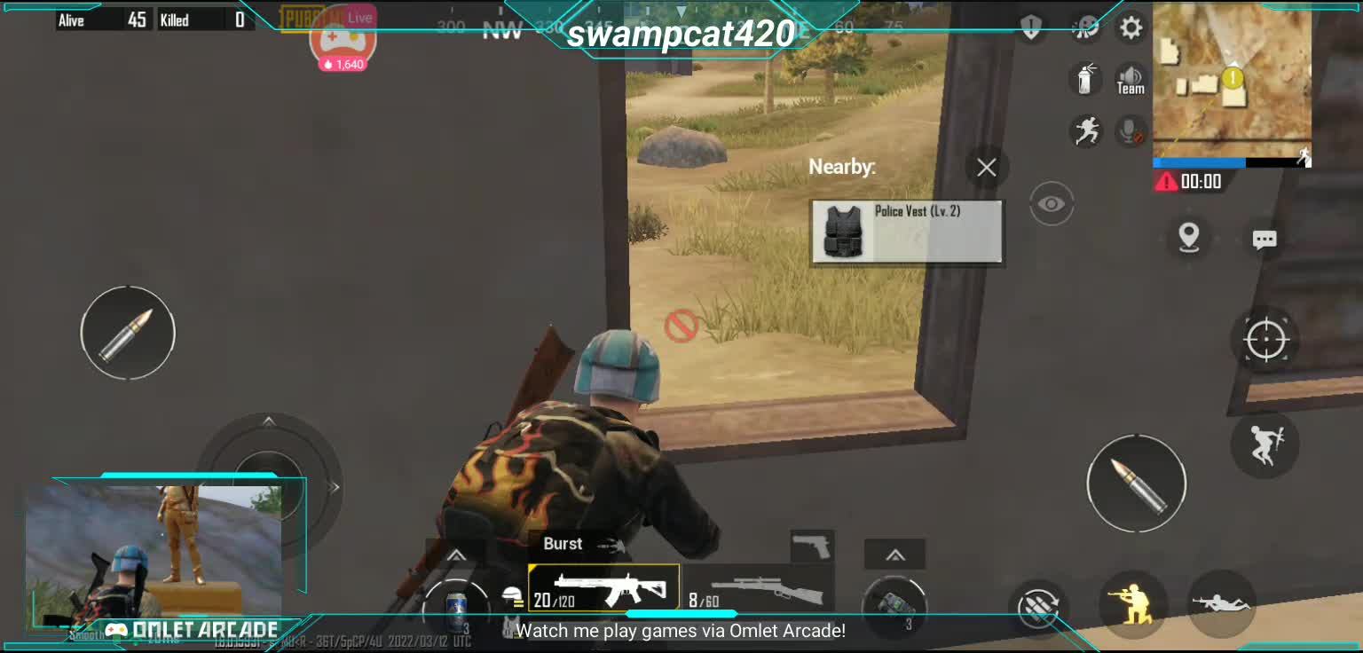 PUBG mobile solo swampcat