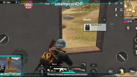 PUBG mobile solo swampcat