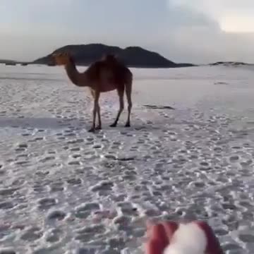 Voici le sable du Sahara