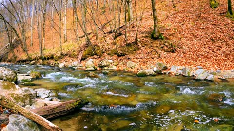 In 1 minute you will see a very beautiful nature