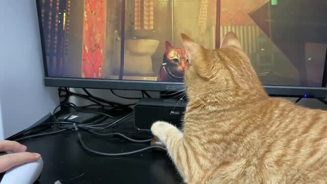 Take him to play cat game