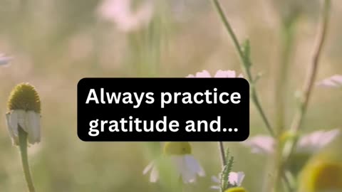 Always practice gratitude and