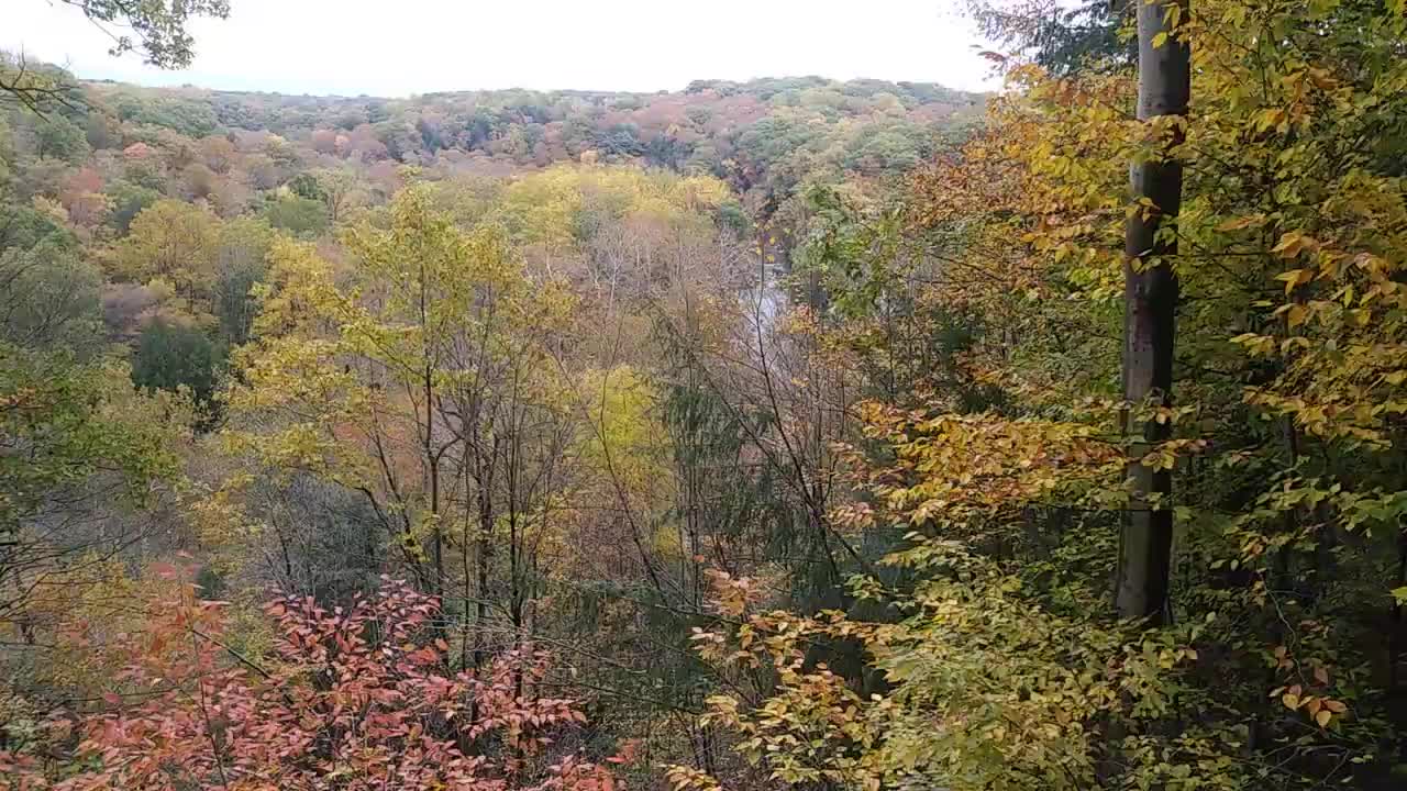 Tinker's Creek Gorge National Natural Landmark