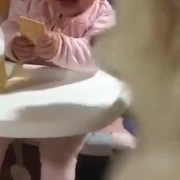 The child was eating the cake when the dog snatched it