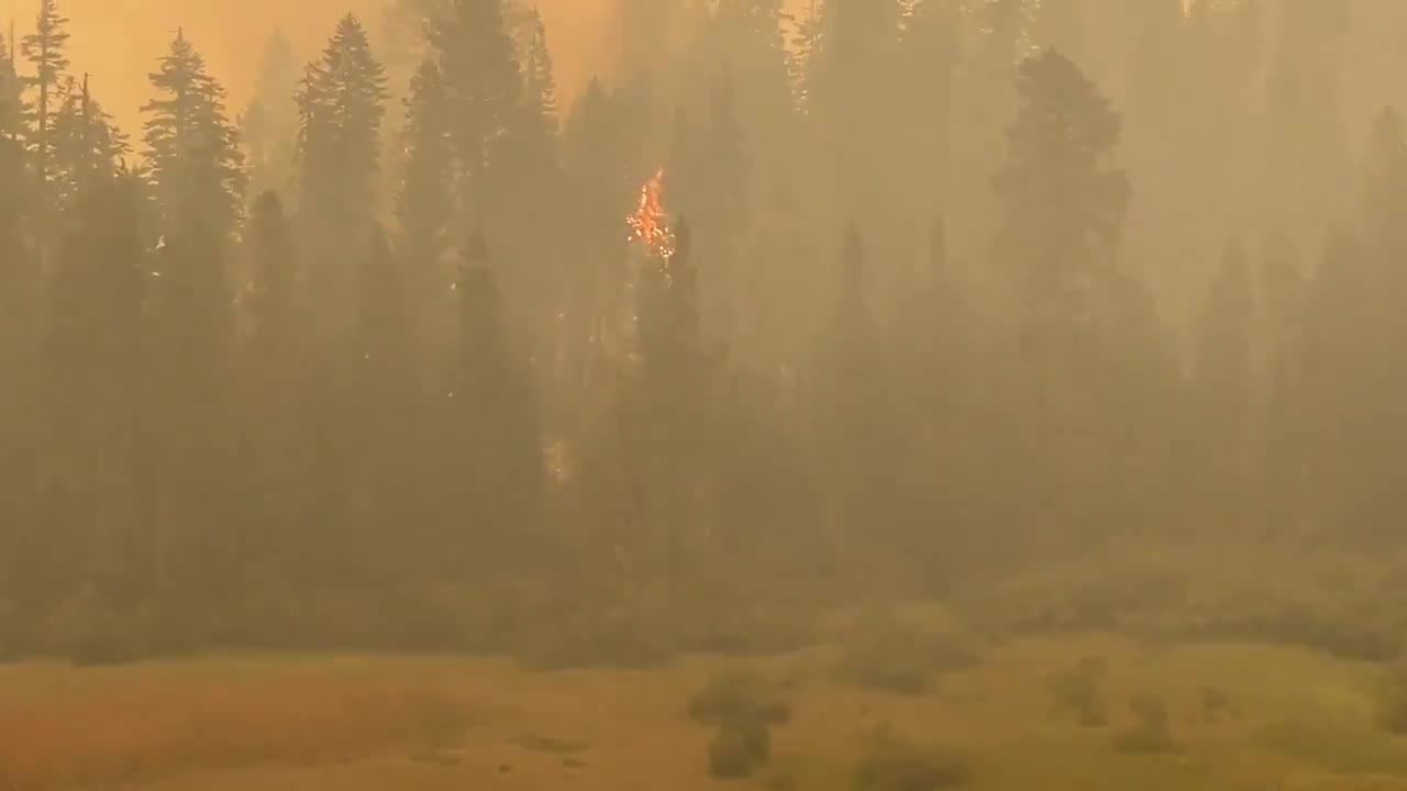 Caldor Fire spotting across Hwy 50