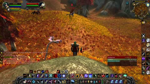World of Warcraft Classic Hunter Leveling part 20