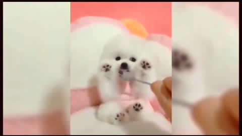 Cute dog eat food. Best dog bread