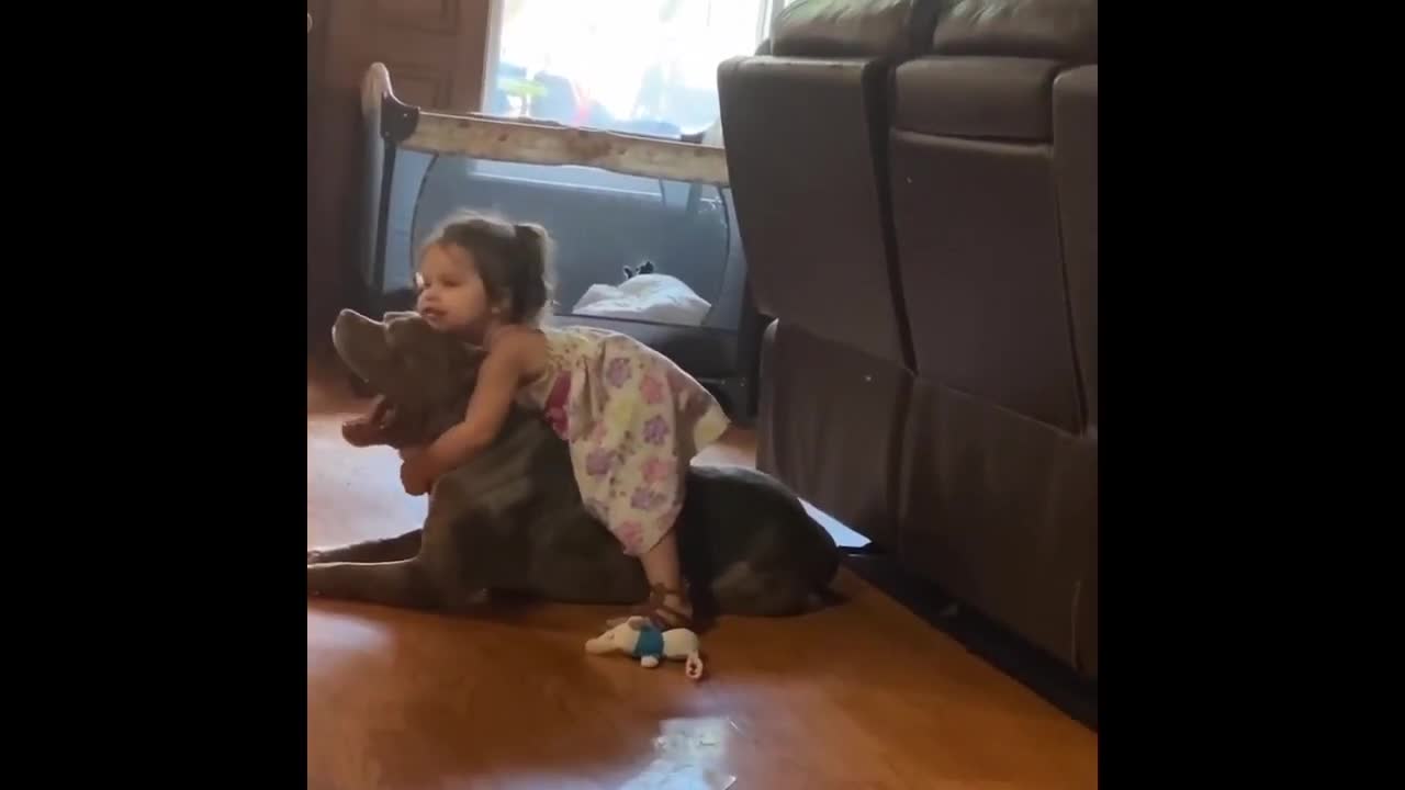 Abusive Child Attacks Pitbull And This Happened