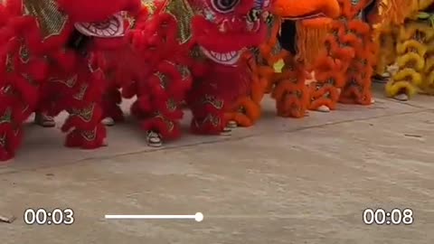 #Dragon Line-up