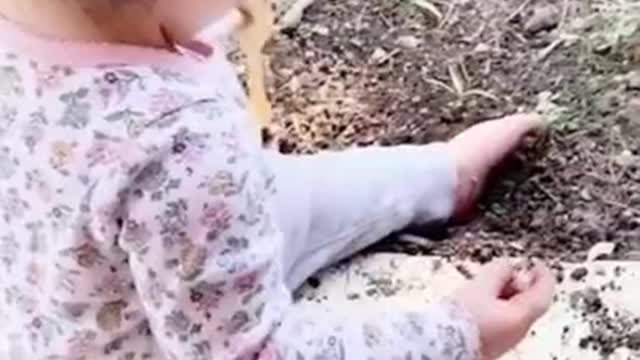 funny baby videos