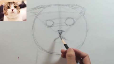 The detailed drawing process of sketching cats is easy to learn2