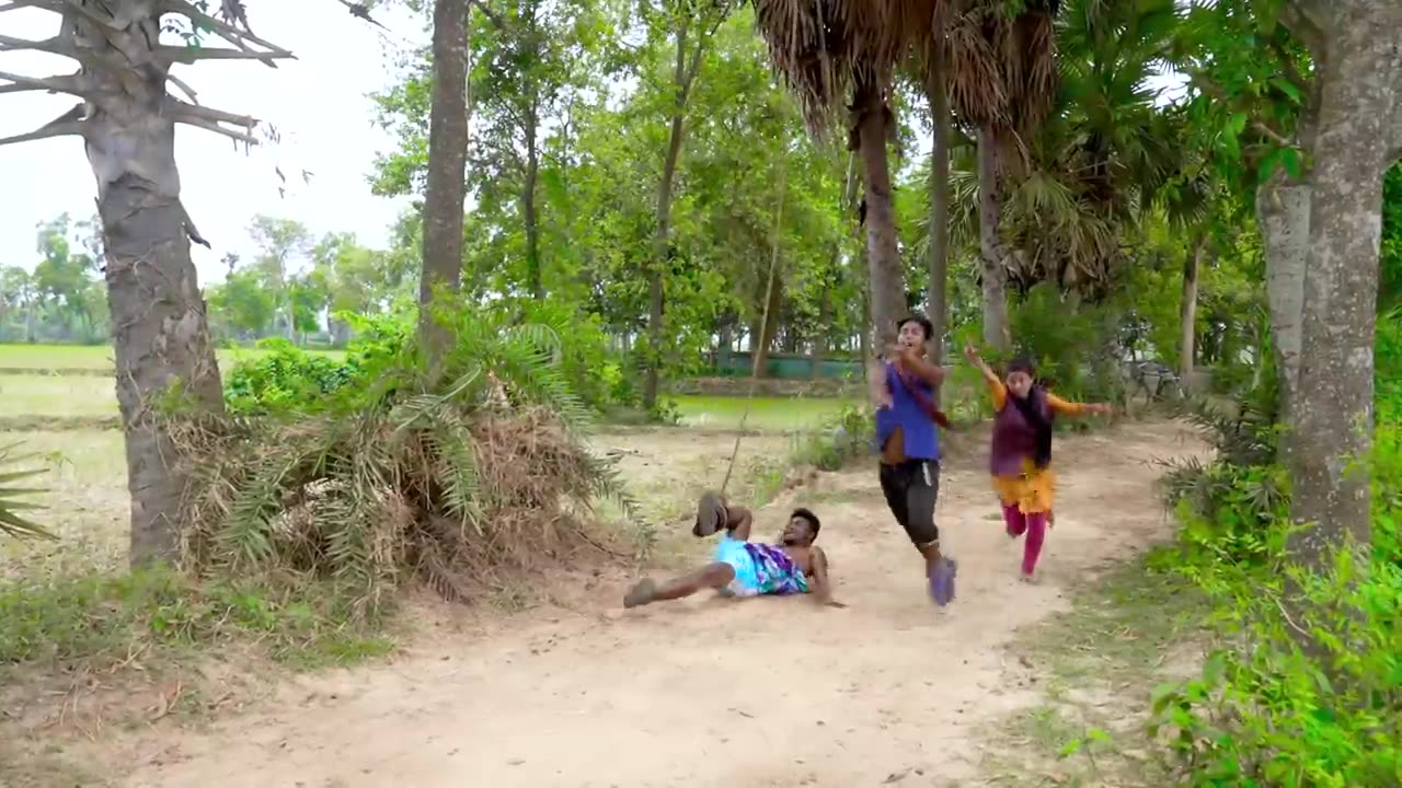 Funny Video