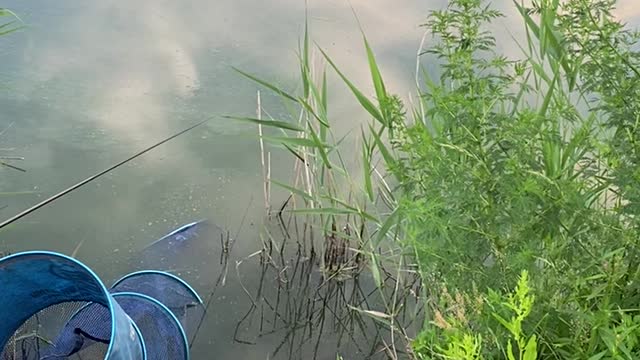 fisherman