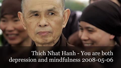 Thich Nhat Hanh - You are both depression and mindfulness 2008-05-06