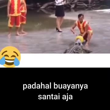 cute crocodile charmer..FUNNY